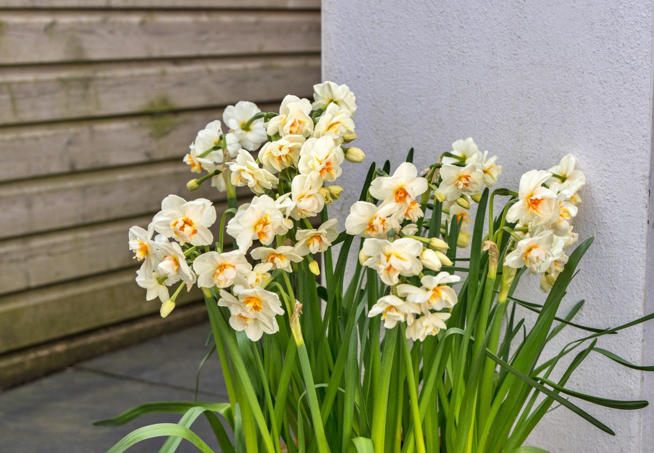 Rent by room in St Teath - The Rectory Nook Annexe