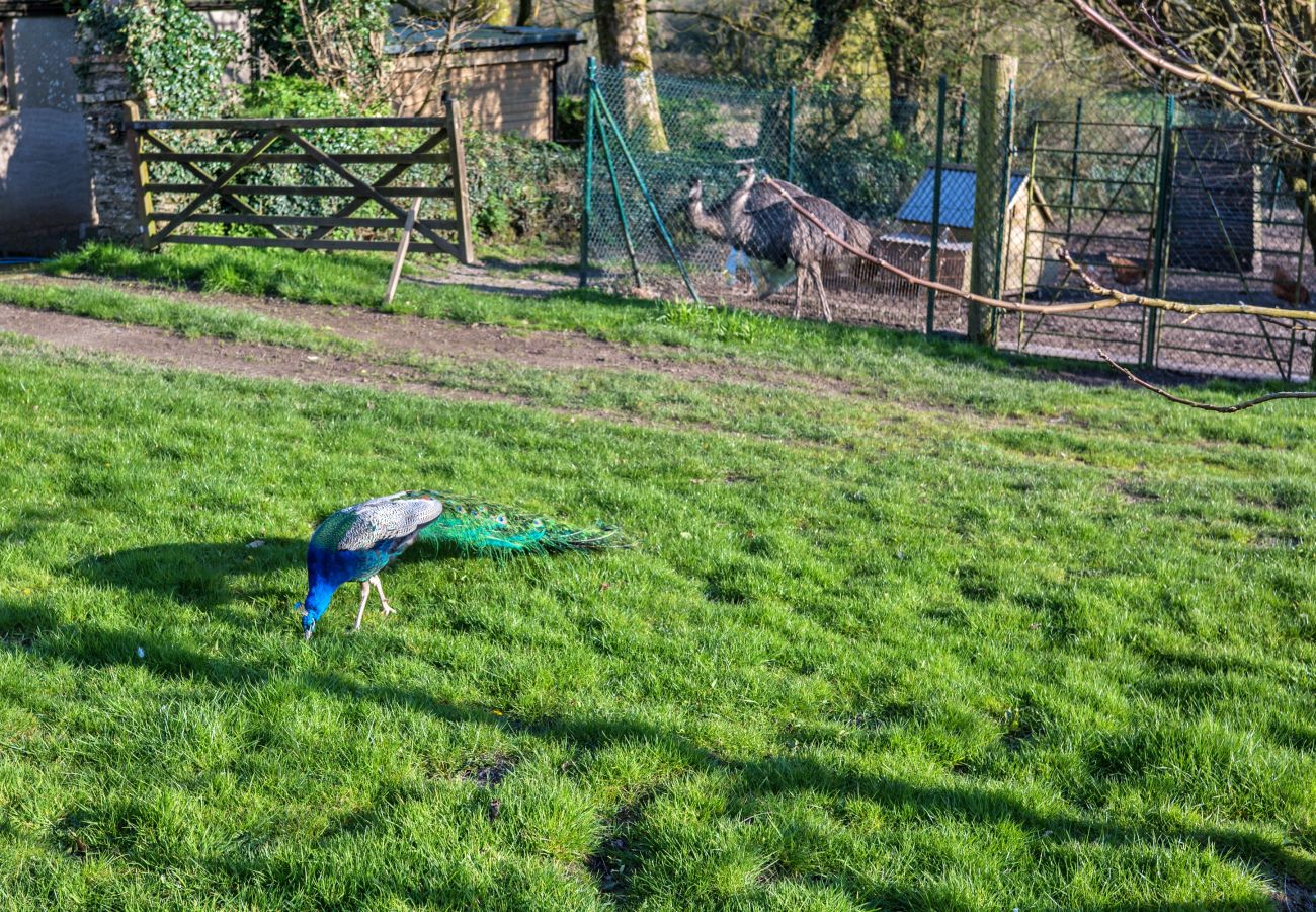 Cottage in Woolacombe - Trimstone Manor - Lee, Studio Apartment