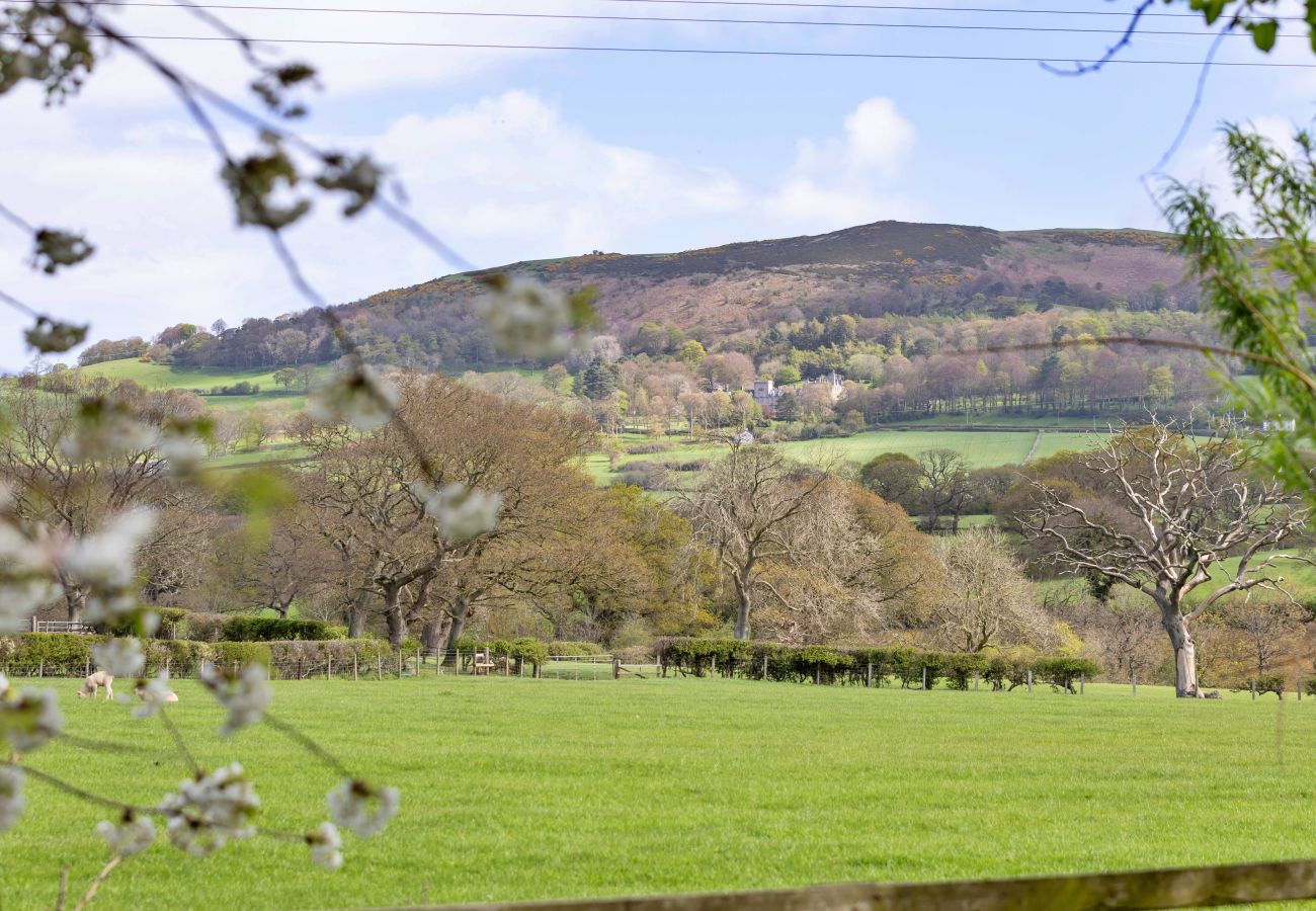 Cottage in St Asaph - Waen Farm Cottage