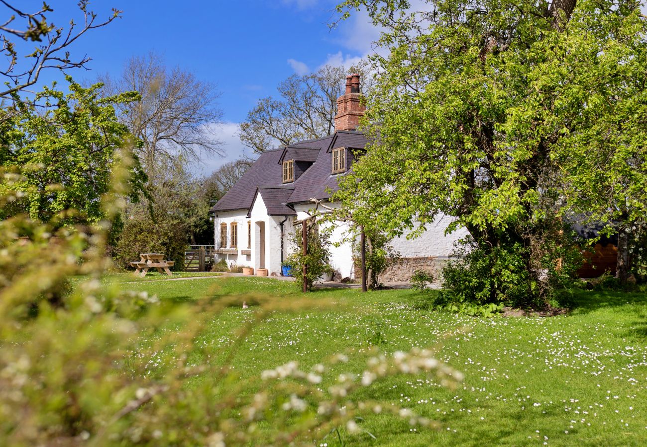 Cottage in St Asaph - Waen Farm Cottage