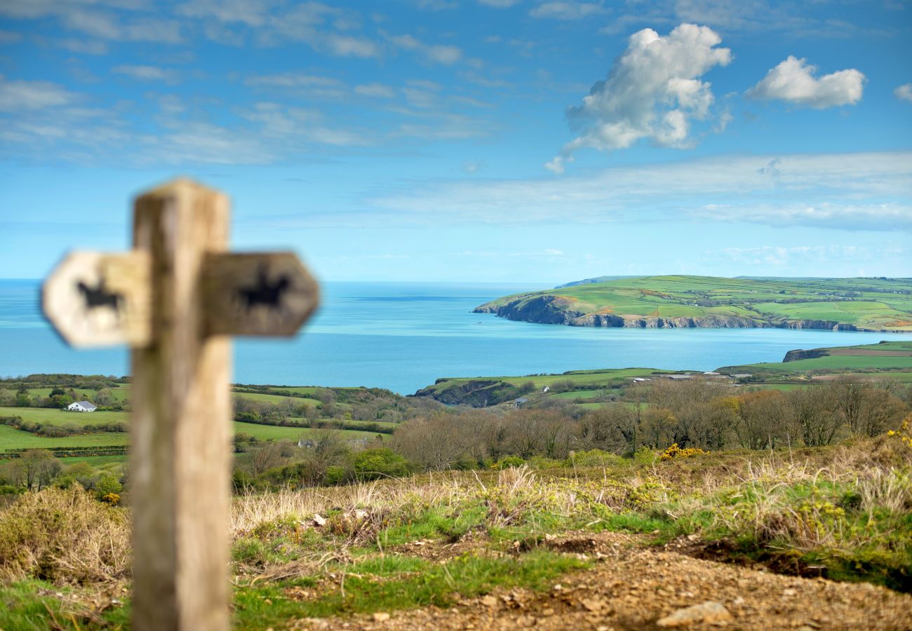 Cottage in Dinas Cross - Arfron