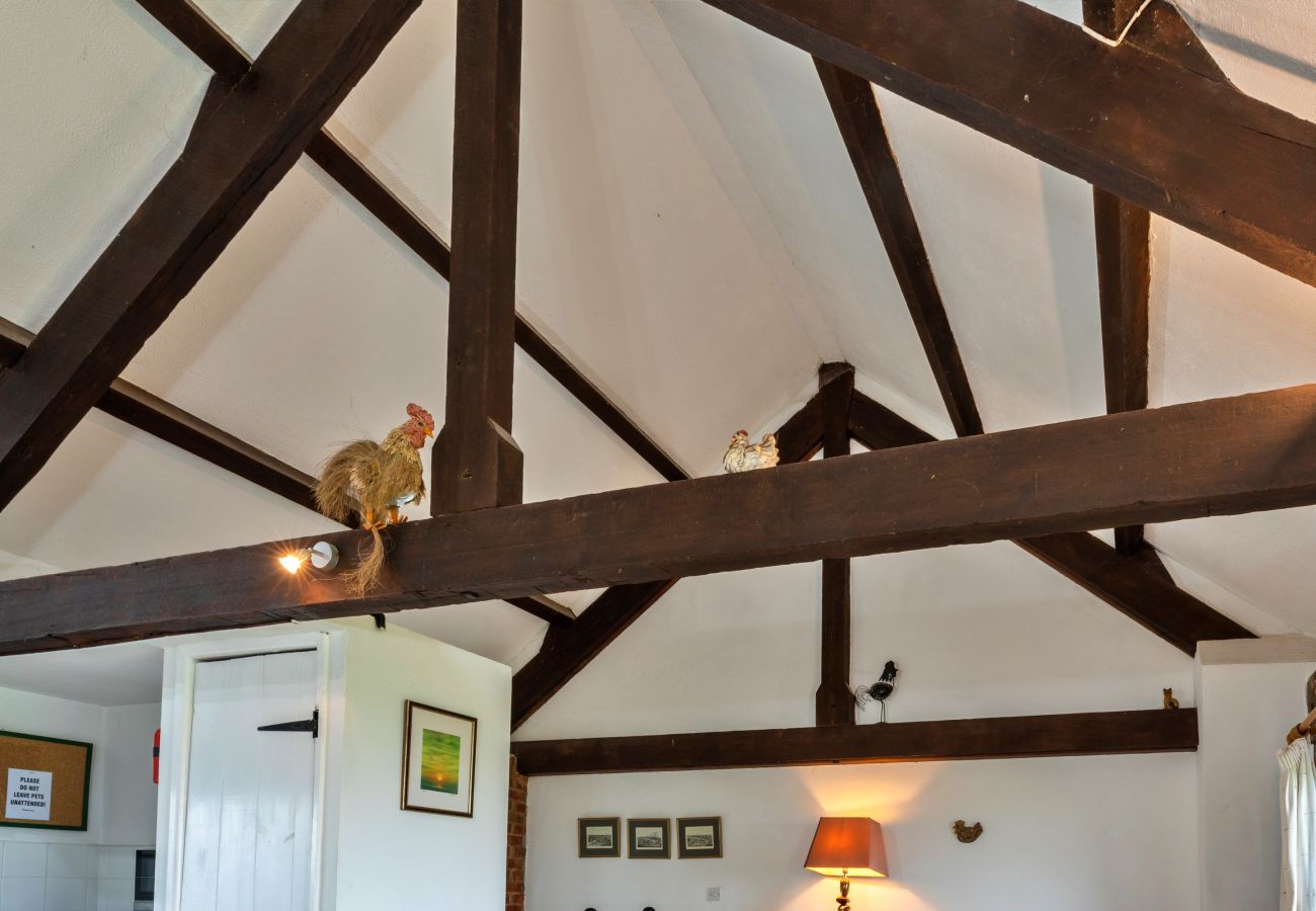 Cottage in Widemouth Bay - Squire, Quinceborough Farm
