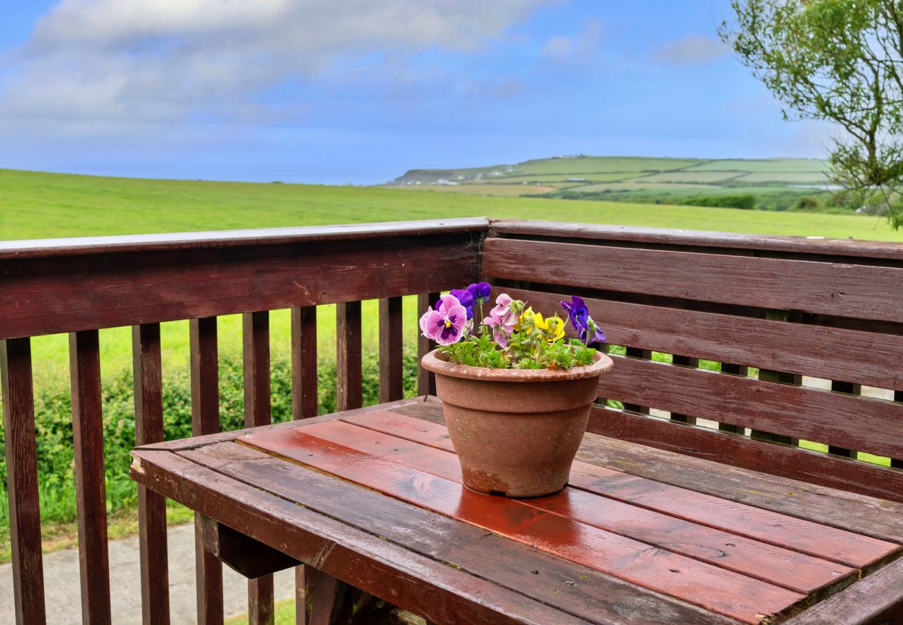 Cottage in Widemouth Bay - Squire, Quinceborough Farm