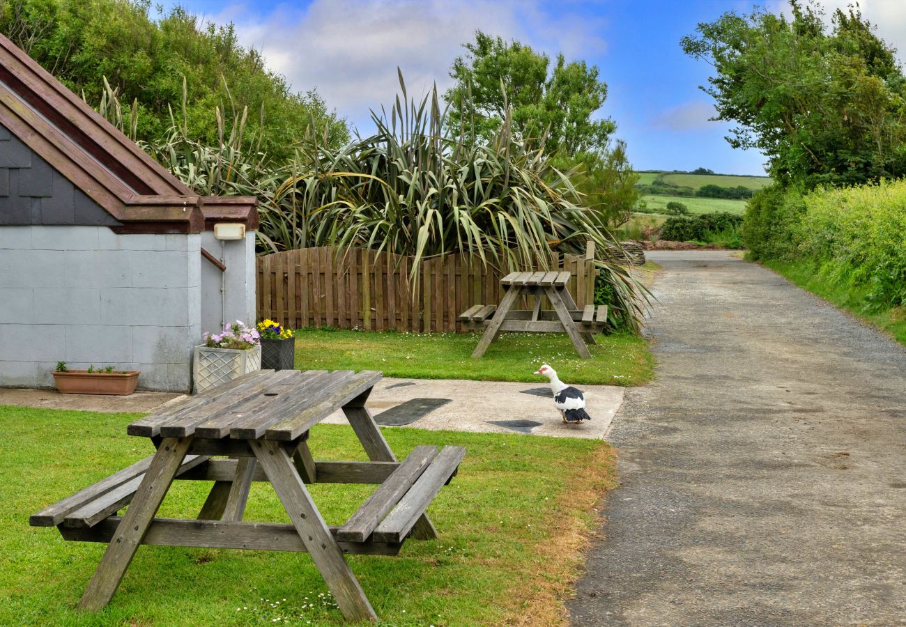 Cottage in Widemouth Bay - Squire, Quinceborough Farm