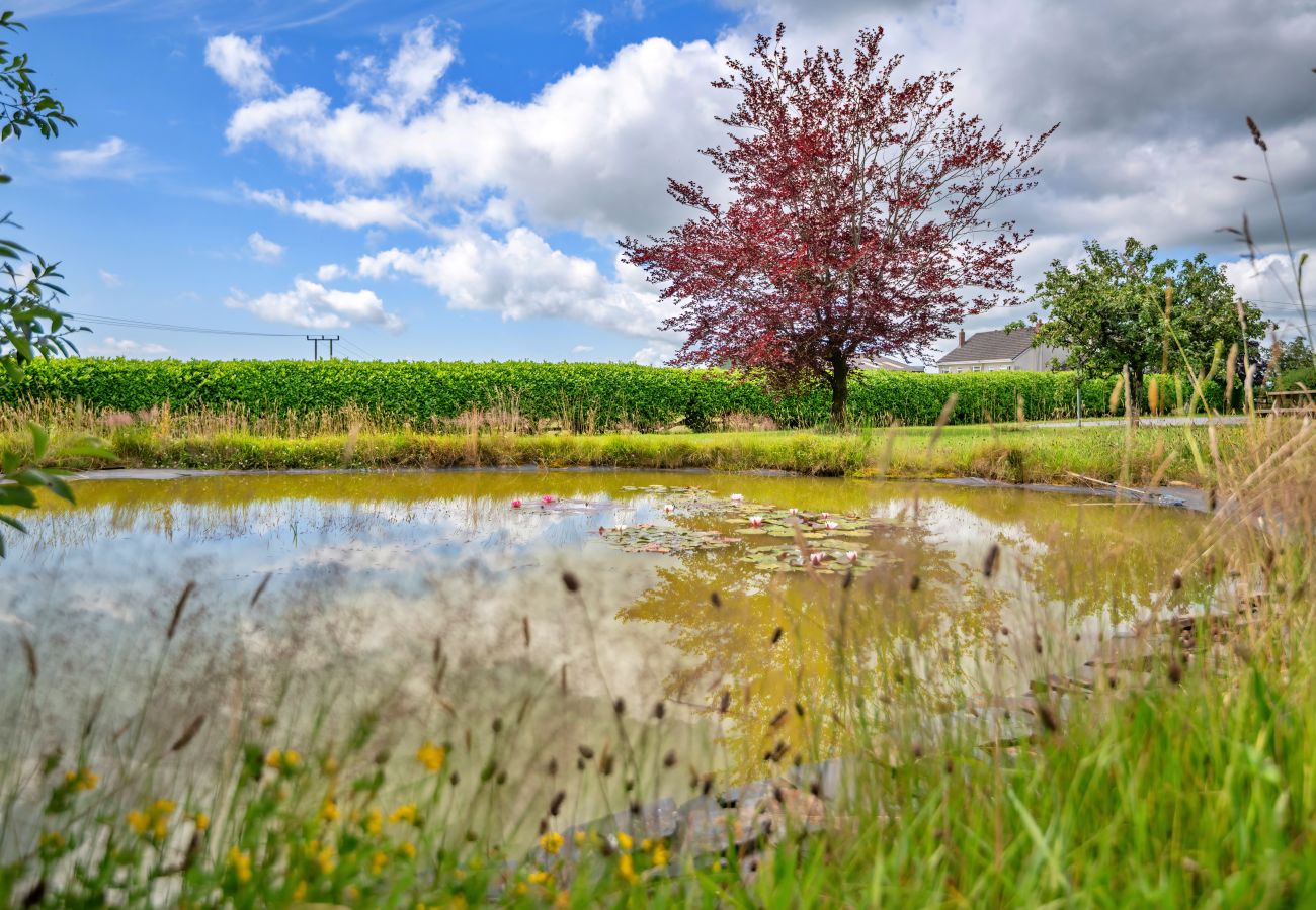 House in Whitland - Jabajak Vineyard