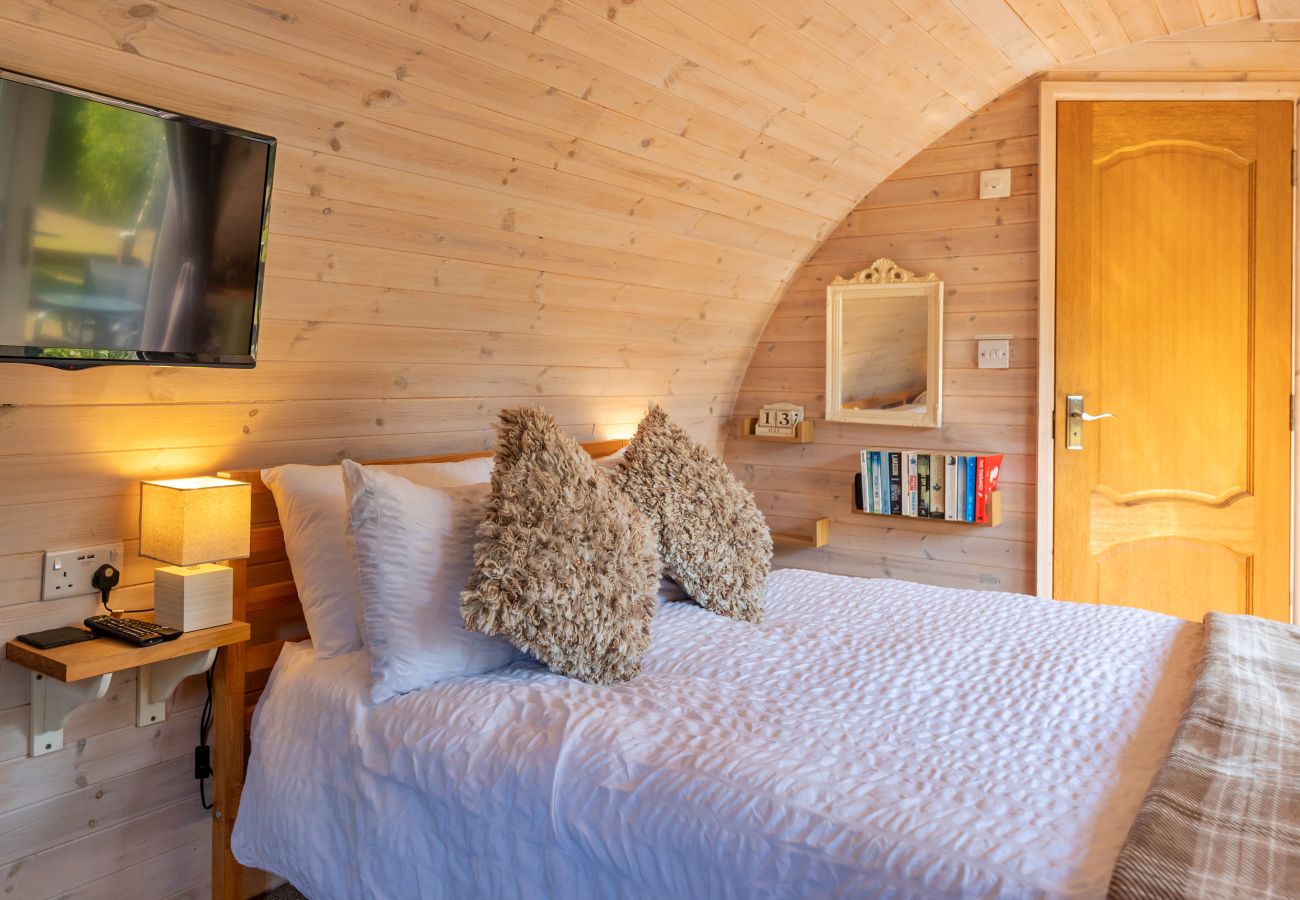 Cabin in St Asaph - Idris Pod