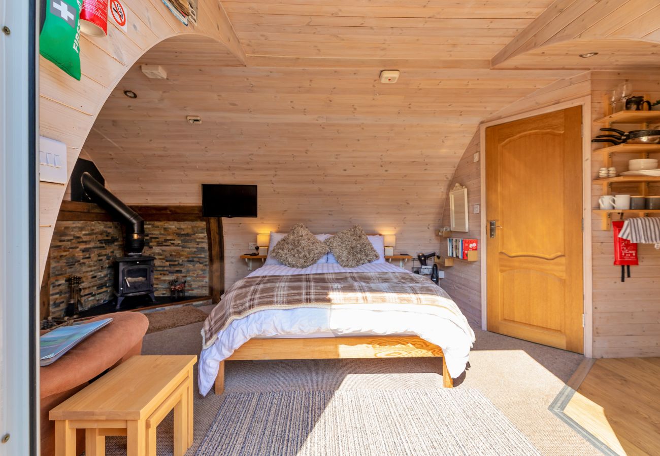 Cabin in St Asaph - Idris Pod