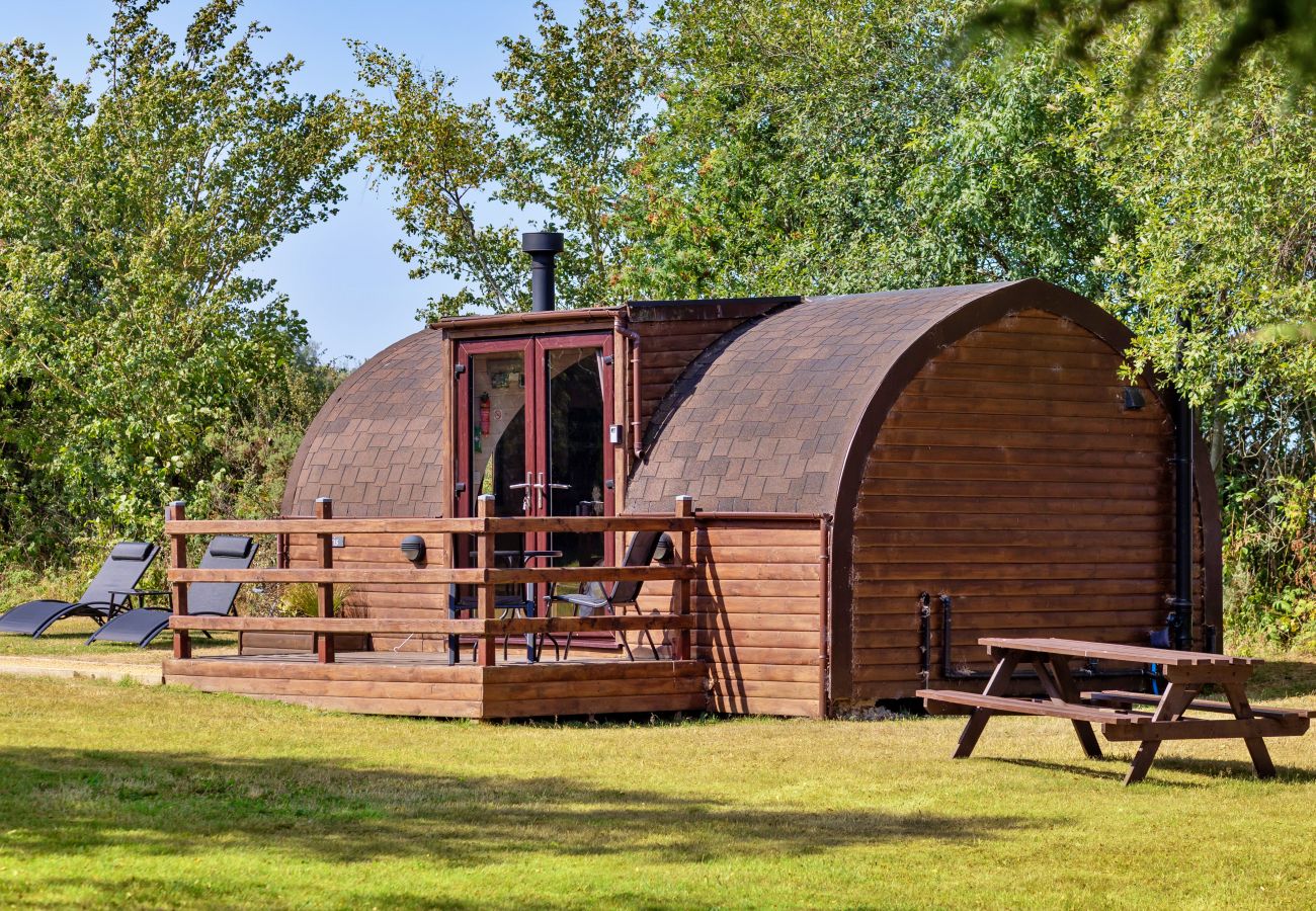 Cabin in St Asaph - Idris Pod