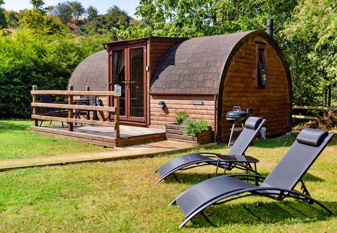 Cabin in St Asaph - Gelert Pod