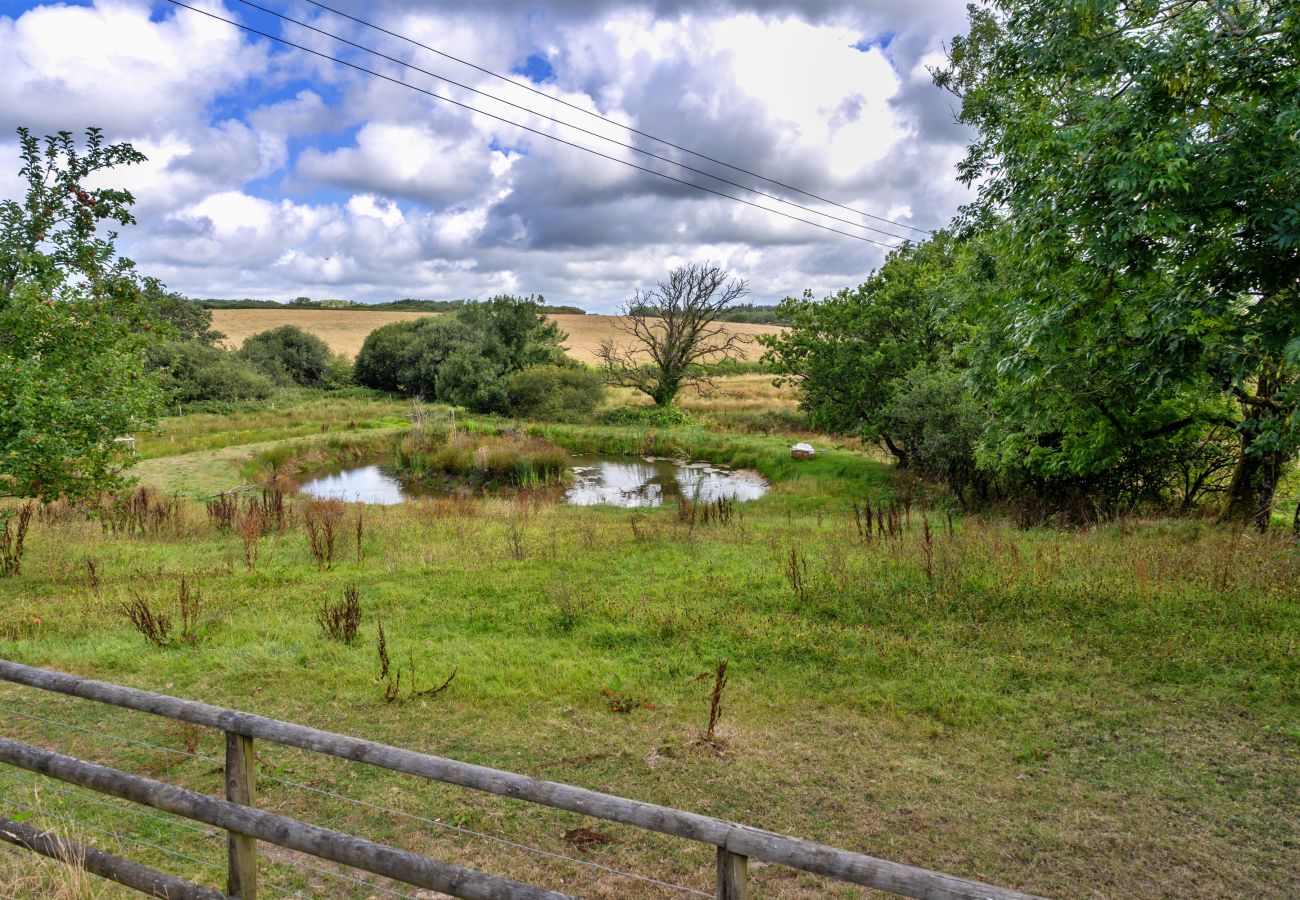 Studio in Launcells - Moreton Mill Studio
