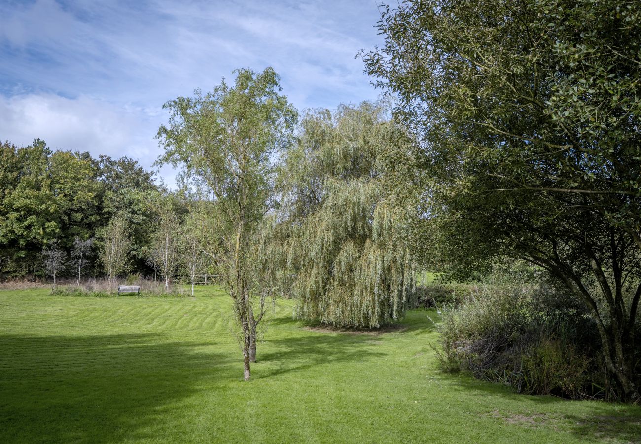 Cottage in Bideford - Willow Tree Barn