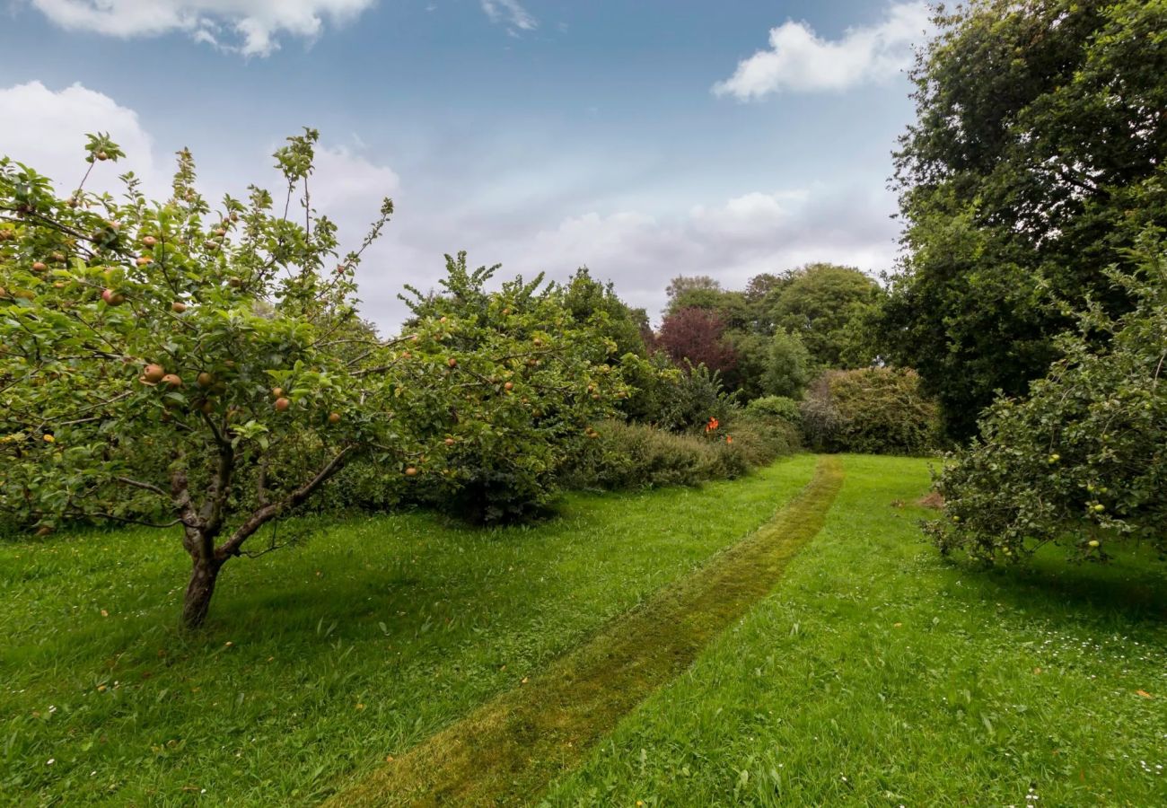 Cottage in Braunton - Kittiwake Cottage
