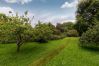Cottage in Braunton - Kittiwake Cottage