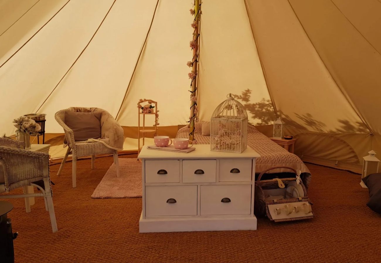 Chalet in Umberleigh - Bell Tent Dexter at Country Ways