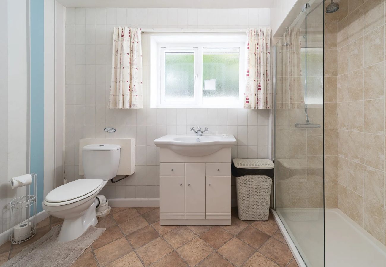 Cottage in St Mawes - Seagulls