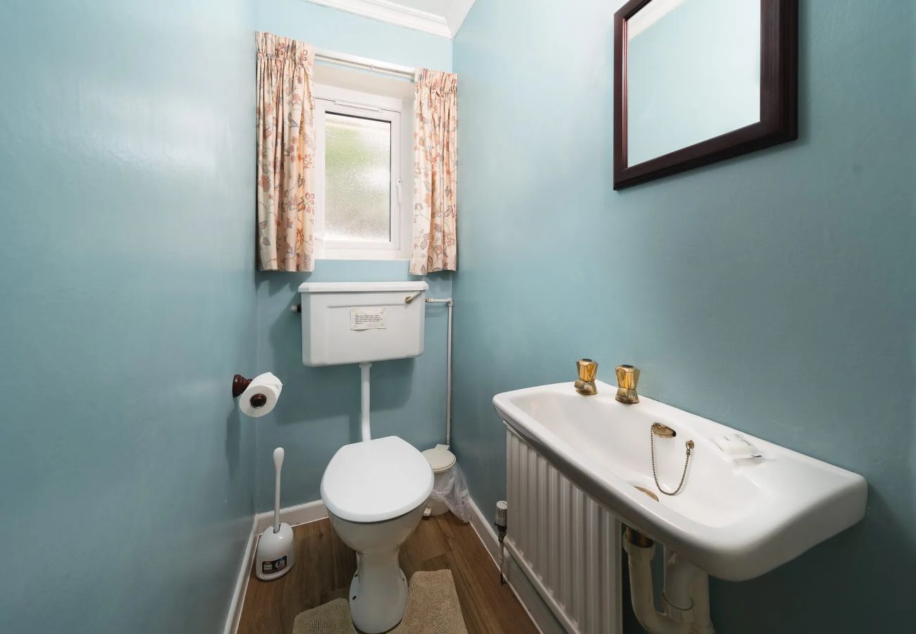 Cottage in St Mawes - Seagulls