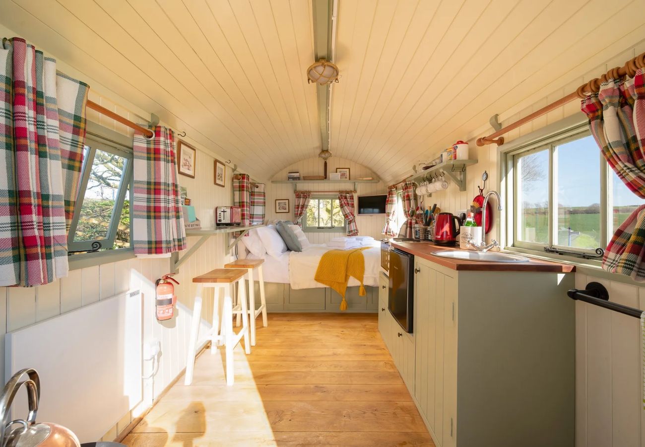 Cabin in Barnstaple - The Shepherd's Shed at Accott Manor