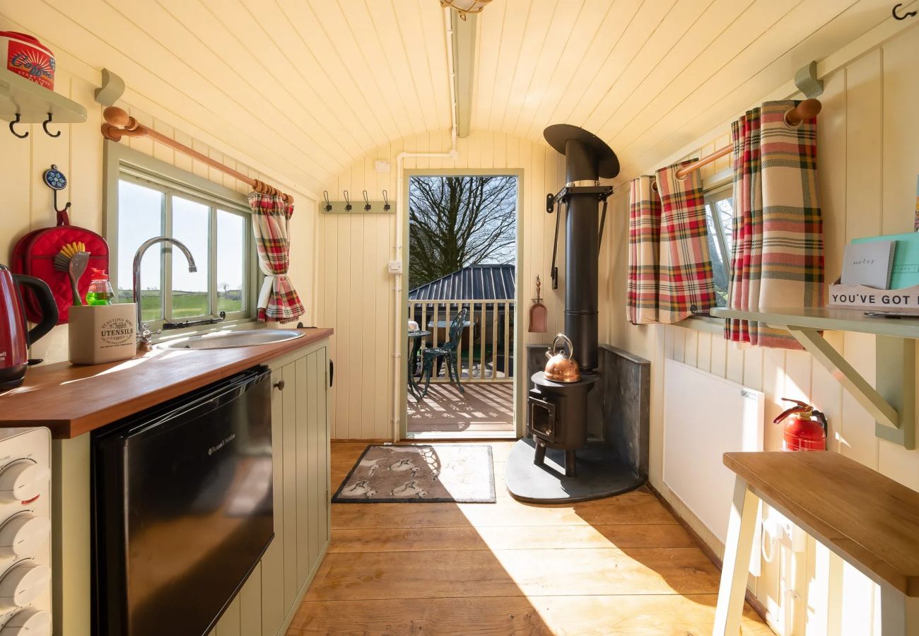 Cabin in Barnstaple - The Shepherd's Shed at Accott Manor