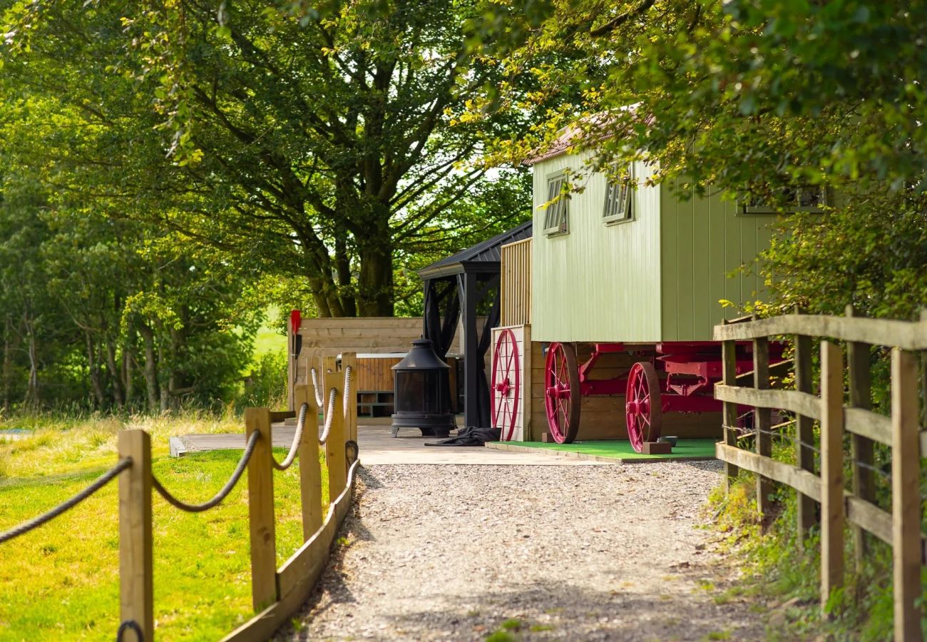 Cabin in Barnstaple - The Shepherd's Shed at Accott Manor