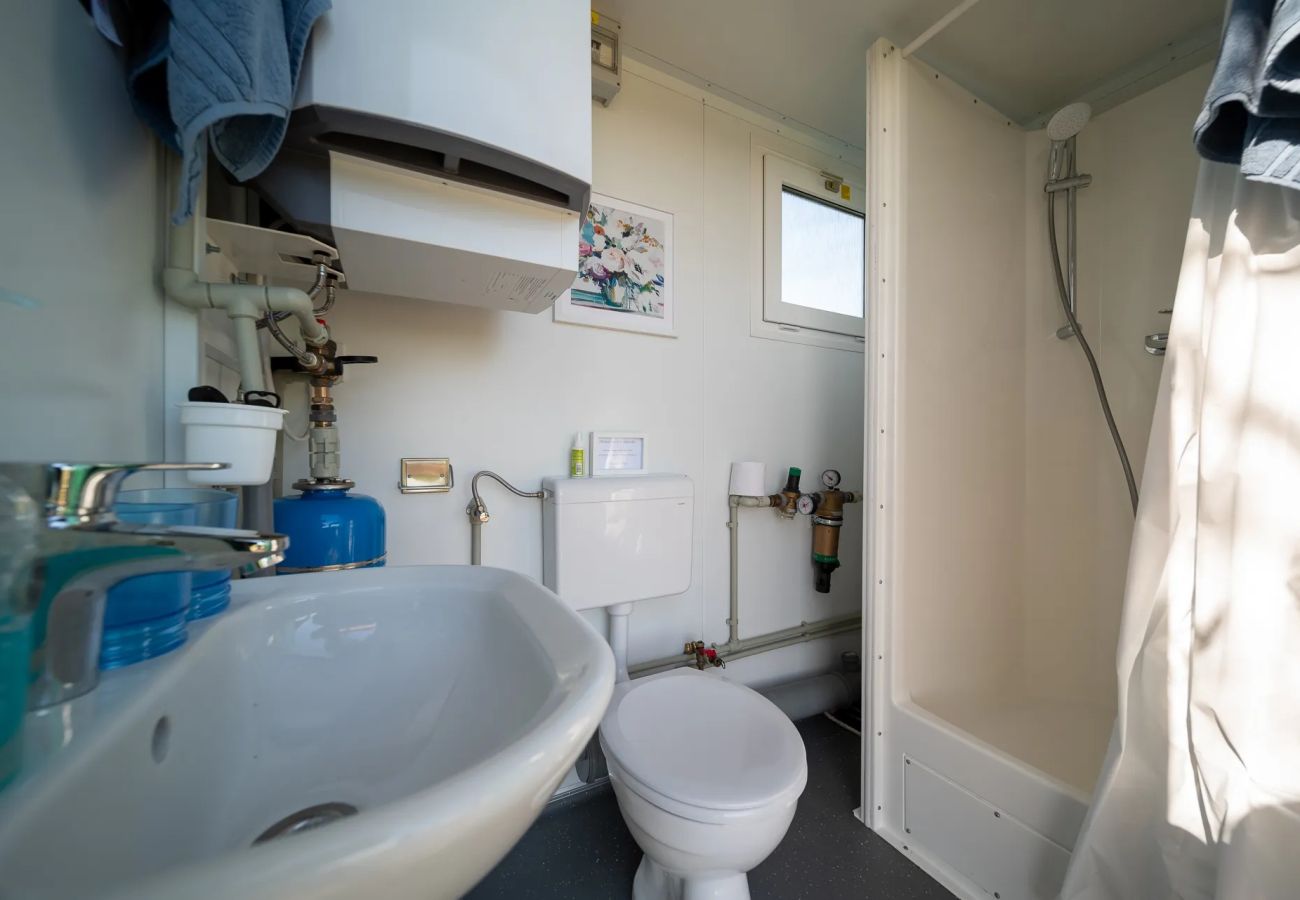 Cabin in Barnstaple - The Shepherd's Shed at Accott Manor
