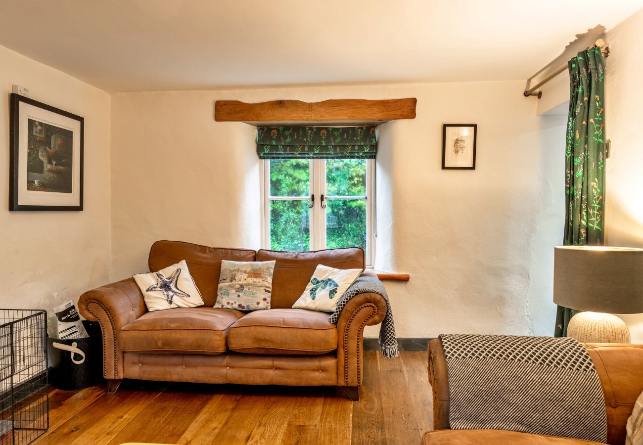 Cottage in Boscastle - Ivy Cottage, Boscastle