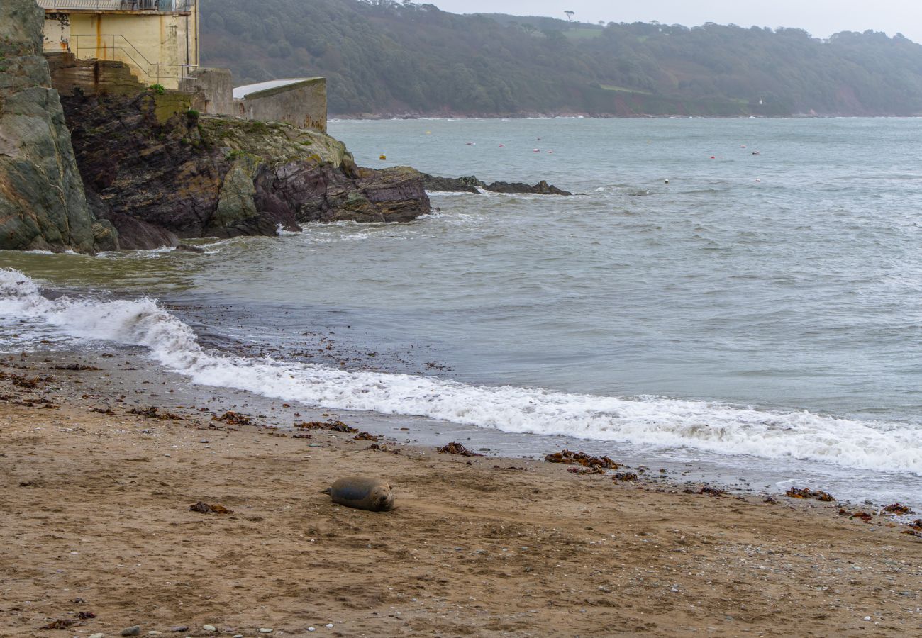 Cottage in Cawsand - Old Cellars, Cawsand